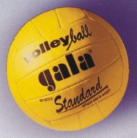 Volejbalový míč Gala STANDARD šitý